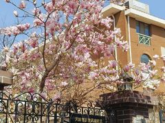 -天津五大道文化旅游区