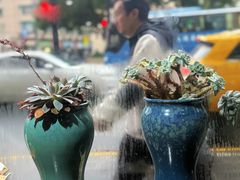 -蟹上黄·蟹黄面·江南糖水(人民广场店)