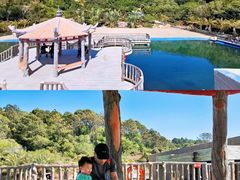 -广东惠东海龟国家级自然保护区