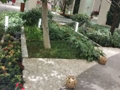 android_upload_pic-仁恒美食庭苑