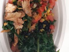 -油梨树AVOCADO TREE(顺义新国展店)