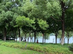 -天鹅湖体育公园