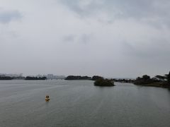 -贡湖湾湿地公园