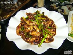酱爆八爪鱼-胶东海鲜大排档(北太平庄店)