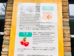 -熊猫厨房