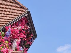 -思南公馆商业街