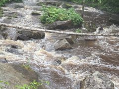 -汤旺河林海奇石景区