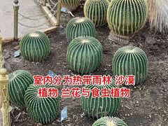 -北京植物园-展览温室