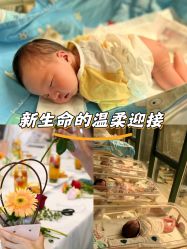 -白领安琪儿妇产医院•早孕•产检•月子中心