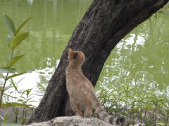 -晓港公园