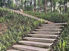 -丽晶美庐·玉兰餐厅