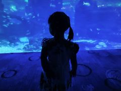 -江和美海洋公园