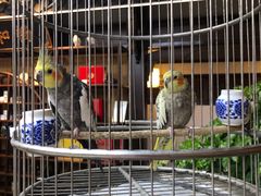 -蘭奢雅集·江浙菜(青山江滩店)