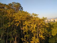 -飞凤山奥体公园