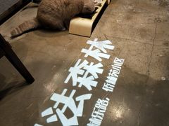 -咖法森林·咖啡  酒吧(天河店)