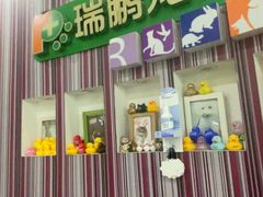 -瑞鹏·疫苗·绝育·宠物医院(金沙洲店)