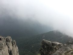 -银瓶嘴森林公园