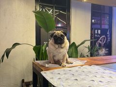 -老外街
