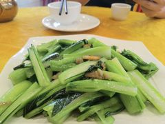 -鸿达渔港