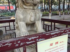 -保定市动物园