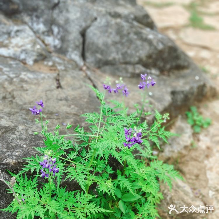 广东秦汉古道||适合户外小白的徒步路线