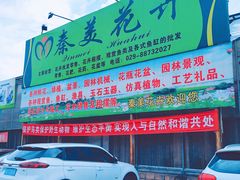 -秦美花卉(天朗·莱茵小城2期店)