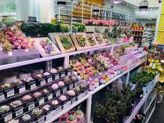 -KKV(天津津南吾悦广场店)
