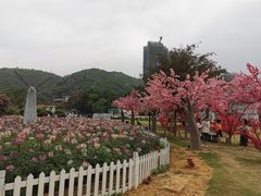 -玫瑰海岸文化旅游度假区