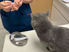 -瑞派康怡24h宠物医院·犬猫医疗中心·微创绝育(瑞景分院)