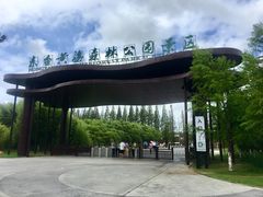 -黄海国家森林公园