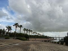 -宝安西湾红树林湿地公园