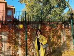 -三里屯东五街银杏大道