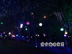 -温州乐园
