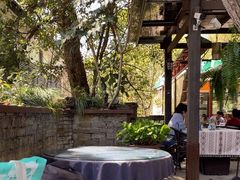 -野蔓果·山野菜(西湖景区·龙井茶田店)