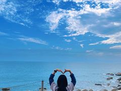 -广东惠东海龟国家级自然保护区