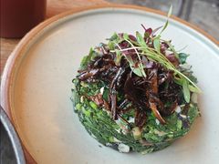 黑鸡纵菌菠菜-Blac+Blac(中海环宇荟店)