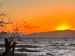 -捞渔河湿地公园