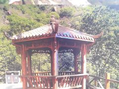 -大岭沟猕猴桃谷风景区