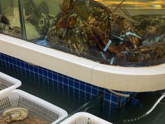 -大众海鲜(巨龙北路店)