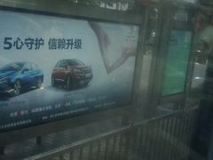 -万绿园