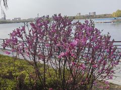 -长春市南湖公园