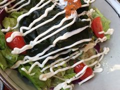 -春草居酒屋·晴子の店