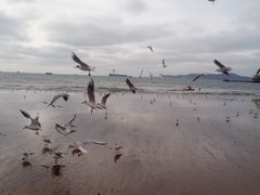 -青岛第二海水浴场