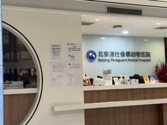 -北京派仕佳德动物医院·超导核磁·CT·神经科·骨科·内外科·急重症管理中心