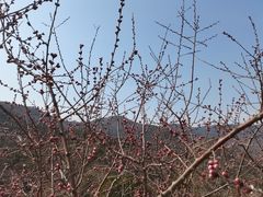 -香山公园