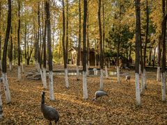 -艾溪湖湿地公园