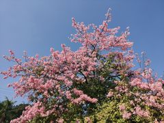 -中国移动南方基地