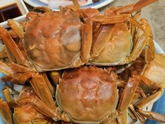 -亚马逊蒸汽活海鲜自助(LCM置汇旭辉广场店)