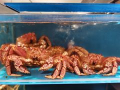 -蟹田居·活蟹料理(东城店)