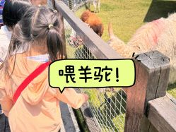 点击看大图 -太湖雪蚕桑文化园